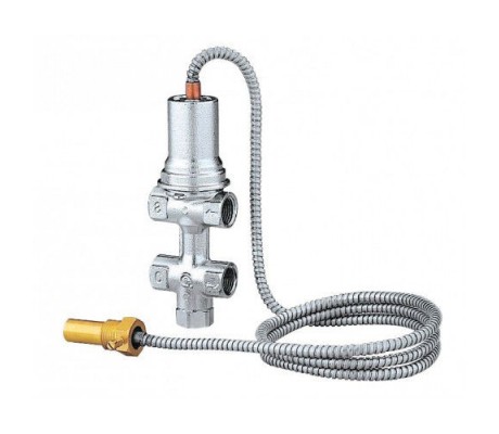 PROTHERM Клапан безопасности Caleffi 544 для котлов DLO